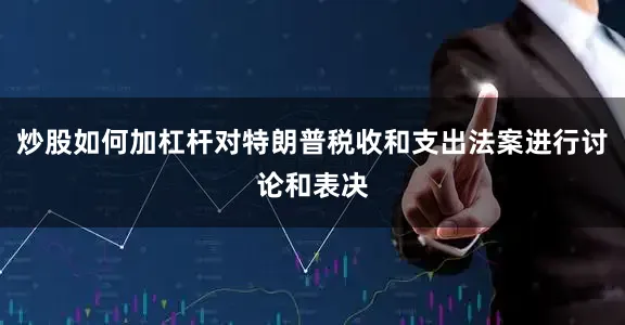 炒股如何加杠杆对特朗普税收和支出法案进行讨论和表决