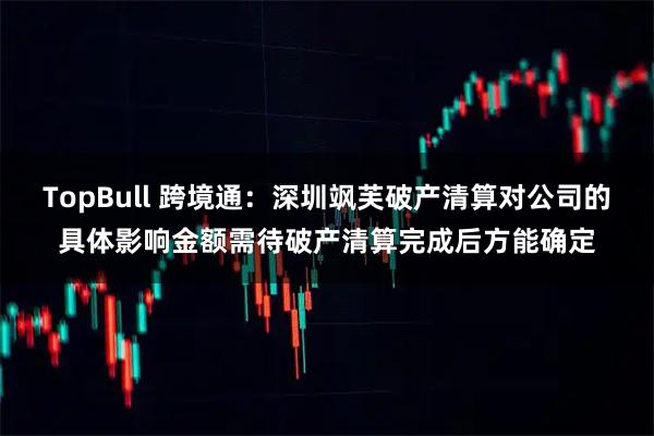 TopBull 跨境通：深圳飒芙破产清算对公司的具体影响金额需待破产清算完成后方能确定