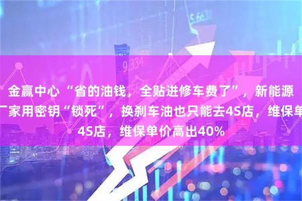 金赢中心 “省的油钱，全贴进修车费了”，新能源车修车难：厂家用密钥“锁死”，换刹车油也只能去4S店，维保单价高出40%